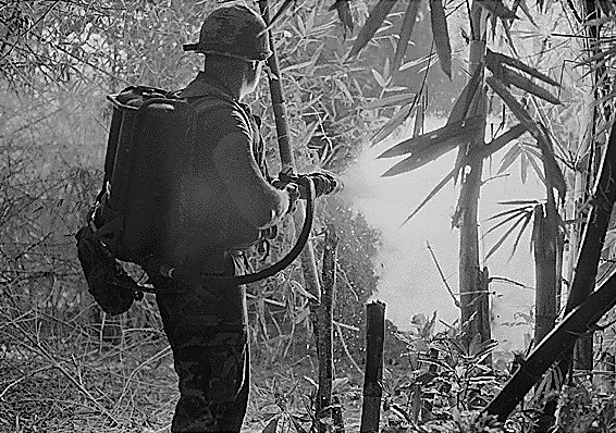 Da Nang, Vietnam…. Sergeant Robert E. Fears clears an area using his flamethrower., 05/22/1970