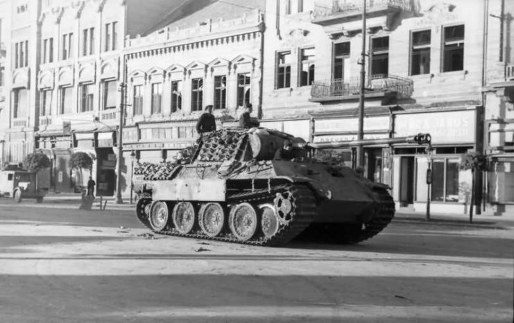 Hungary Panzer V Panther 2