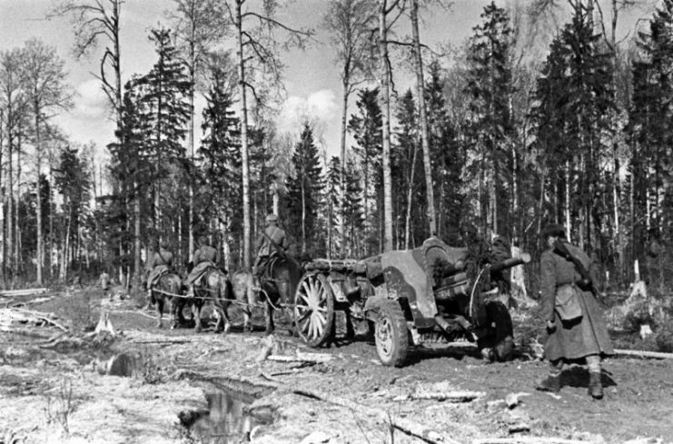 Ivan Panfilov 8th Guards Rifle Division.Photo RIA Novosti archive, image #716031 : V. Kinelovskiy : CC-BY-SA 3.0