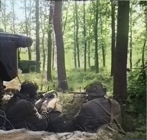 Two troopers dug in near Oosterbeek on 18 September, showing the woodland fought in on the western side of the British perimeter.