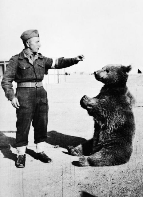 Wojtek sits in front of a soldier.