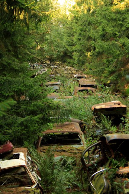A “graveyard of cars” in Châtillon, Belgium.Photo: Tim De Waele.be CC BY-NC 2.0