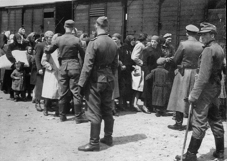 Waffen-SS soldiers participate in a selection at Auschwitz concentration camp