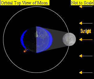 Animation of tides as the Moon goes round the Earth with the Sun on the right. By: Lookang CC BY-SA 4.0