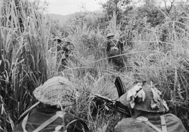 British soldiers search through long grass for Japanese snipers while covered by a Bren gun team.