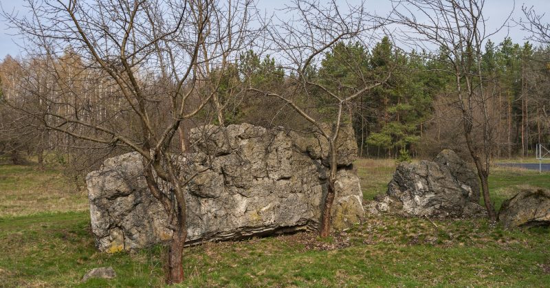 Remains of Hitler's bunker Werwolf.