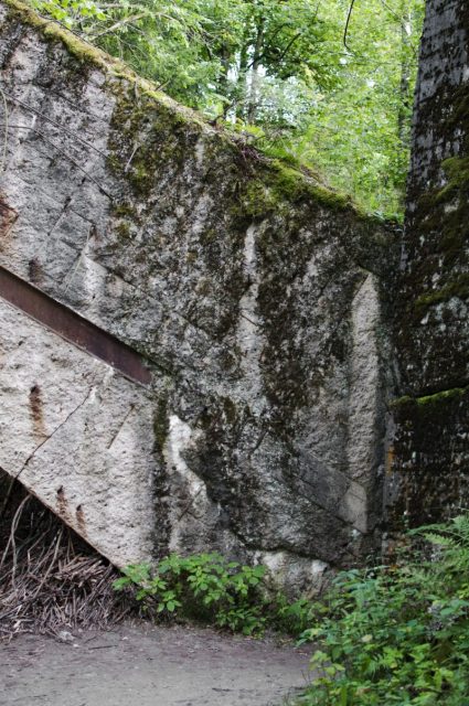 Remains of Hitler’s bunker Werwolf.