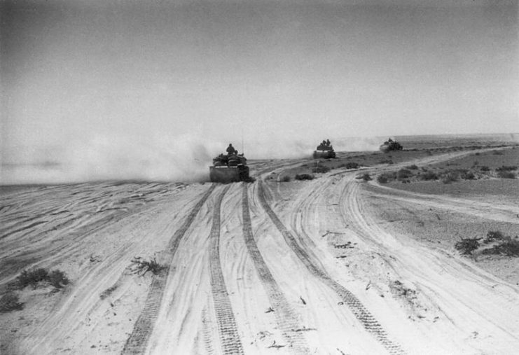 Italian “Semovente” tanks in action