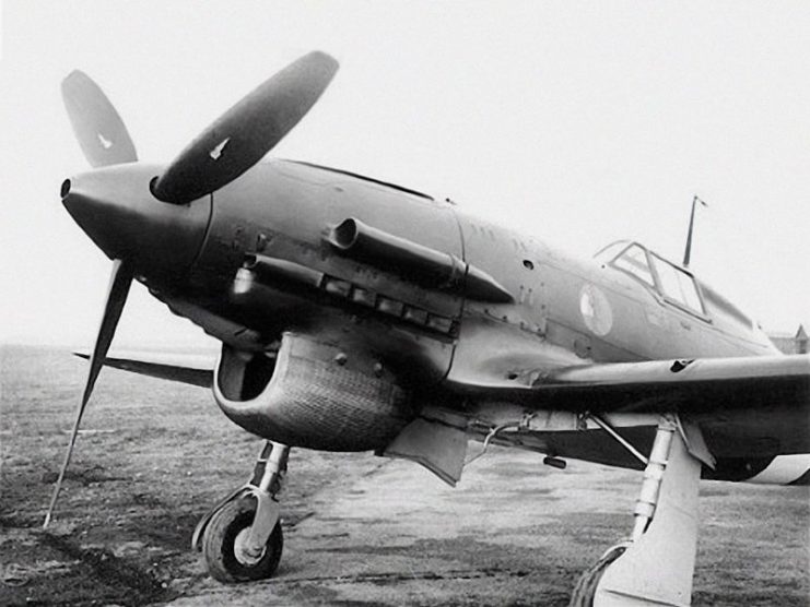 The nose of a Macchi C.202D