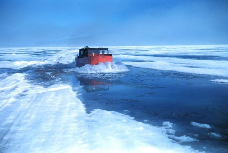 Weasel checking sea ice landing strip at Oliktok Point – If weasel didn’t break ice, ski planes could land. If weasels broke ice, they would float as they were amphibious. Alaska, Brownlow Point, Spring 1950, during construction of the DEW line.