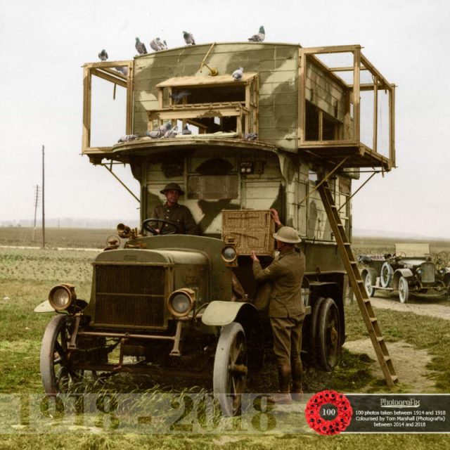 2. A B-type bus converted into a pigeon loft enabling messages to be sent from the front line back to headquarters. The BBC reports that 100,000 carrier pigeons were used as messengers throughout WW1 and records show they delivered 95% of their messages correctly. Originally colorized for the Open University.