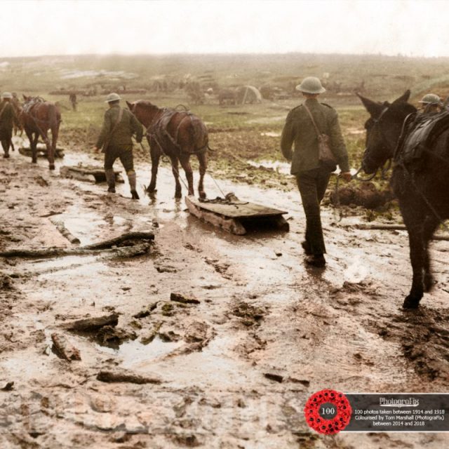 71. Horses pull makeshift sleds through the mud. Originally colourised for Uniform Press and included with permission.