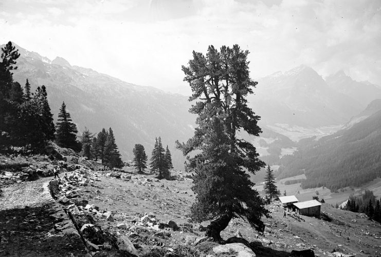 Access road in positions, Switzerland.