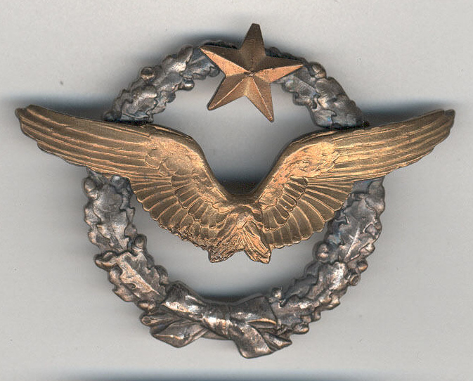 French Air Force pilot’s badge; three piece badge; applied gold wings and 5 point star on top center; silver wreath;
