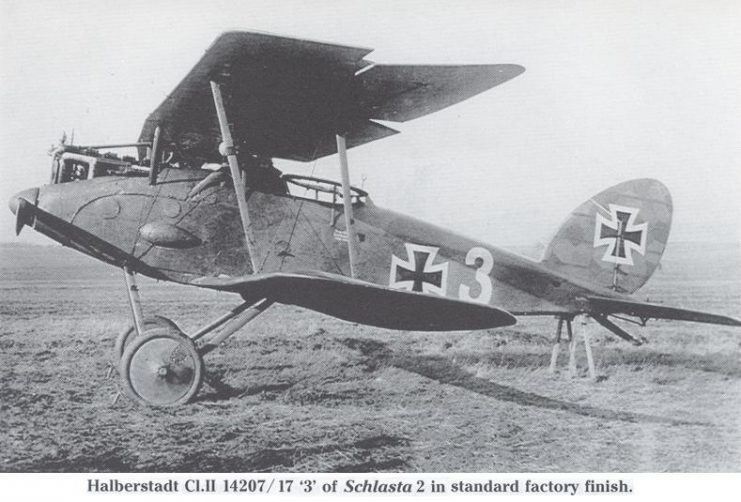 German Halberstadt CL.II 14207 17 “3” of Schlasta 2. Note fairing for radio generator
