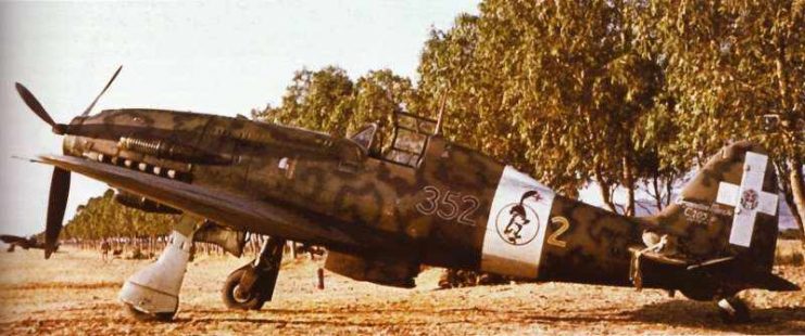 Macchi C.205V 352nd squadron at Capoterra (Sardinia), July 1943.