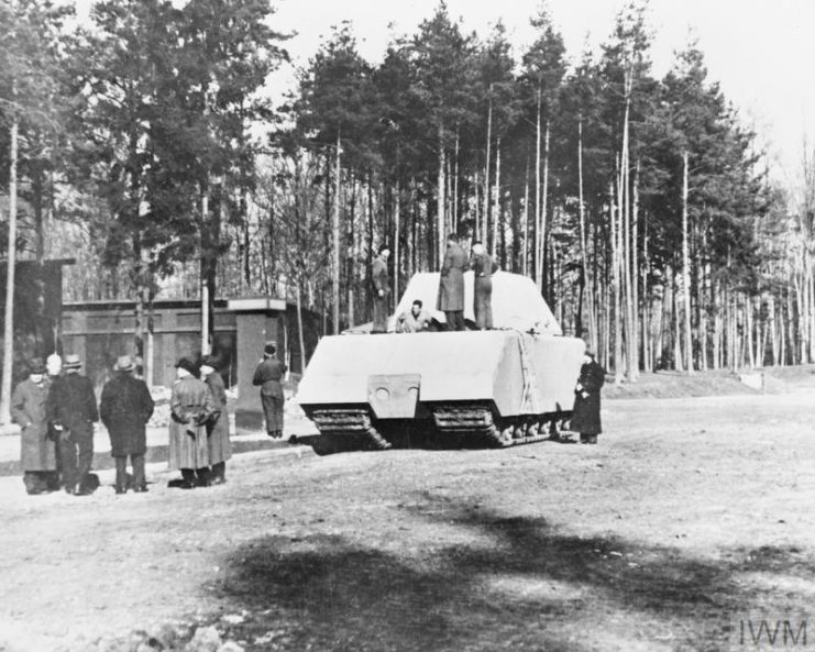 Panzer VIII Maus