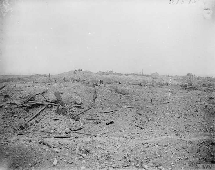 Near Wytschaete, June 8, 1917.