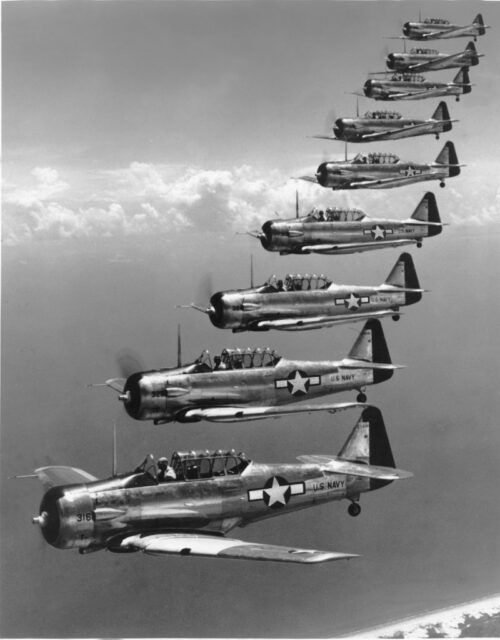 Nine North American P-51 Mustangs in flight
