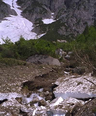 Old snow at Birnbachloch (on the southeastern side of Birnhorn mountain) in Austria in May.Photo: Sten CC BY-SA 3.0