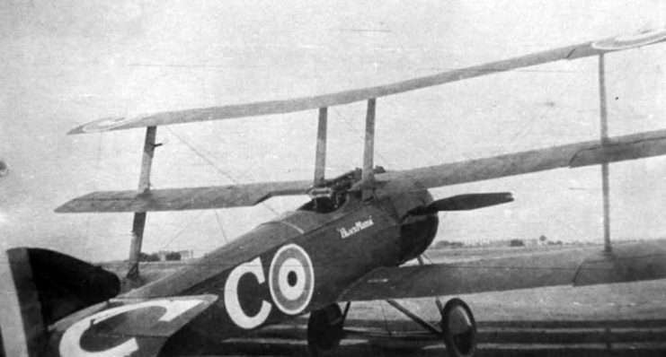 Raymond Collishaw’s Triplane, serial N533. Collishaw flew several Triplanes, all named “Black Maria.”