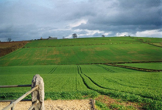 Site of the Battle of Flodden Field. Taken near the monument showing the field of battle (1513) with Branxton Steads in the background.Photo: Christine Westerback CC BY-SA 2.0