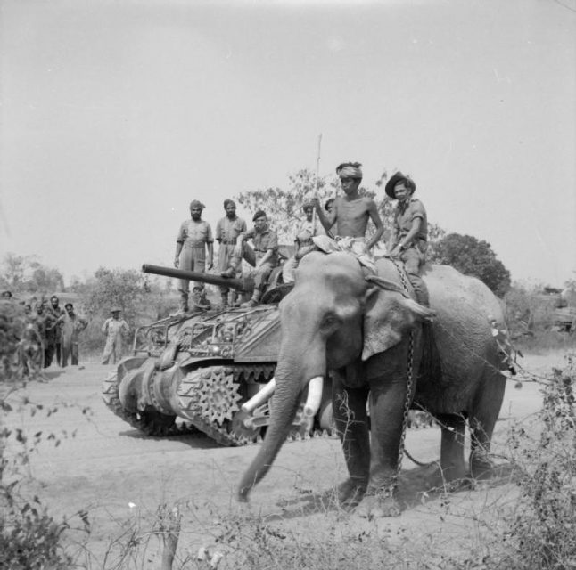 The British commander and Indian crew of a Sherman tank of the 9th Royal Deccan Horse, 255th Indian Tank Brigade, encounter a newly liberated elephant on the road to Meiktila, 29 March 1945.