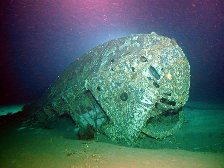 The nose of Marshall Mars, photographed by a joint NOAA, University of Hawaii, National Park Service survey in 2004.