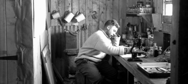 Norman Marshall (zoologist) working in laboratory at Base D, Hope Bay, 1945. (Photographer: Ivan Mackenzie Lamb; Reproduced courtesy of the British Antarctic Survey Archives Service. Archives ref: AD6/19/1/D194). Copyright: Crown (expired).
