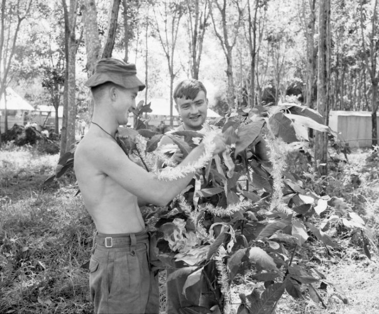 Christmas in Vietnam, 1967