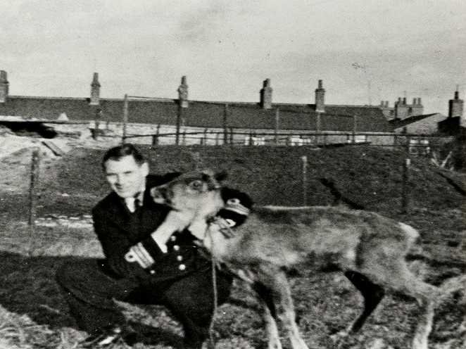 Commander Geoffrey Sladen with Pollyanna the Russian reindeer. © National Museum of the Royal Navy
