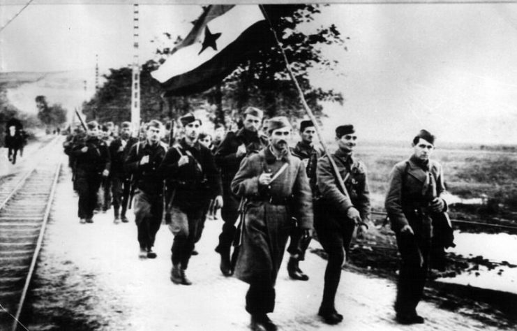 Partisans of the 7th Vojvodina Brigade entering liberated Novi Sad, 1944.