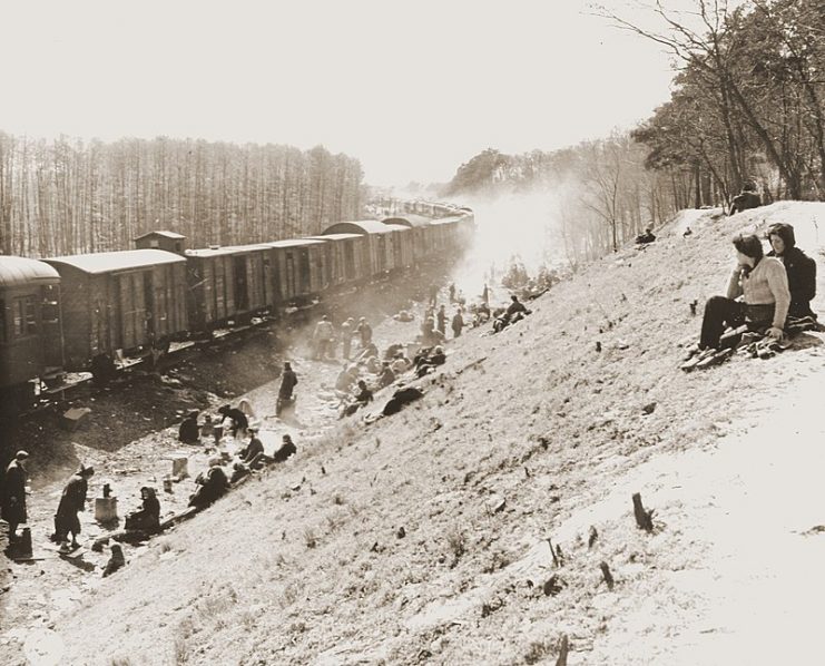 A Holocaust train from Bergen-Belsen to Theresienstadt.