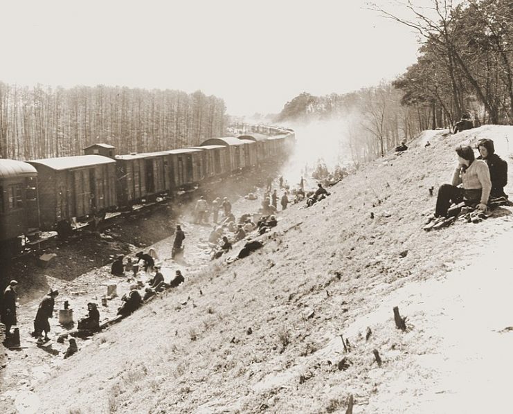 A Holocaust train from Bergen-Belsen to Theresienstadt