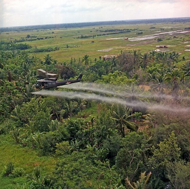 A UH-1D helicopter from the 336th Aviation Company sprays a defoliation agent over farmland in the Mekong Delta.