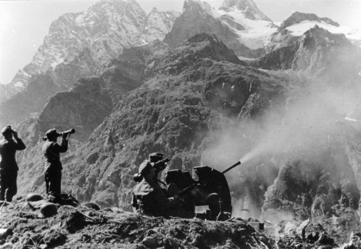 2cm anti-aircraft gun of the Mountaineers in position, Central Caucasus. By Bundesarchiv – CC BY-SA 3.0 de