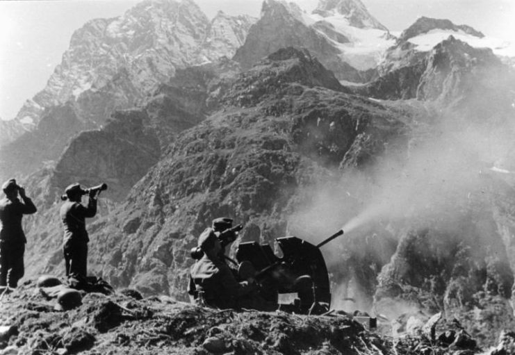 2cm anti-aircraft gun of the Mountaineers in position, Central Caucasus. By Bundesarchiv – CC BY-SA 3.0 de