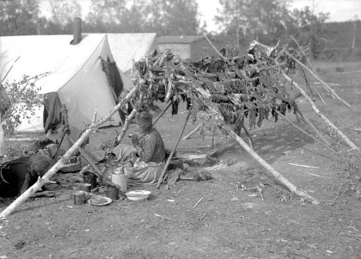 Cree Woman Smoking Beside Racks of Drying Meat – Waterhen River, Northern Saskatchewan