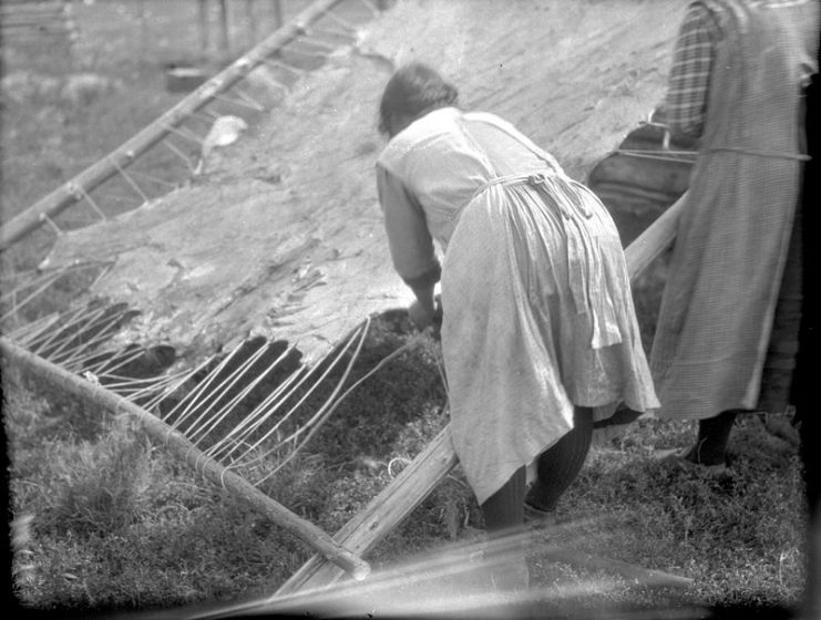 Cree women working on a large moose hide – Waterhen River area, Northern Saskatchewan