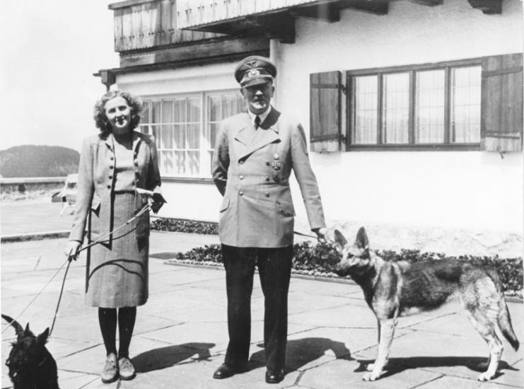 Eva Braun (with Shottzie) and Hitler (with Blondi), June 1942. Photo: Bundesarchiv, B 145 Bild-F051673-0059 / CC-BY-SA 3.0