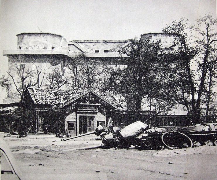 Berlin ZOO in 1945