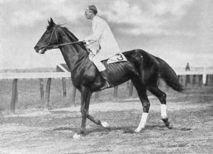 Patton on his steeplechase horse, Wooltex, in 1914