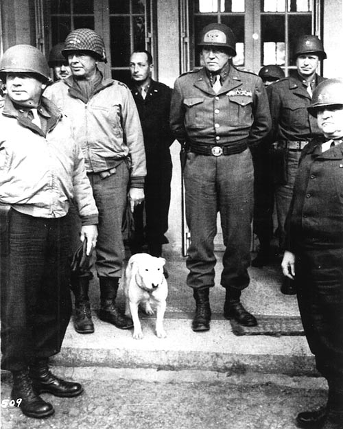 Patton, his Generals, and his Bull Terrier Willie