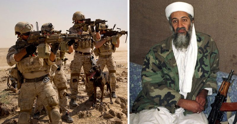 Bringing Down bin Laden: The Navy Seals Who Went In to End Him | War ...