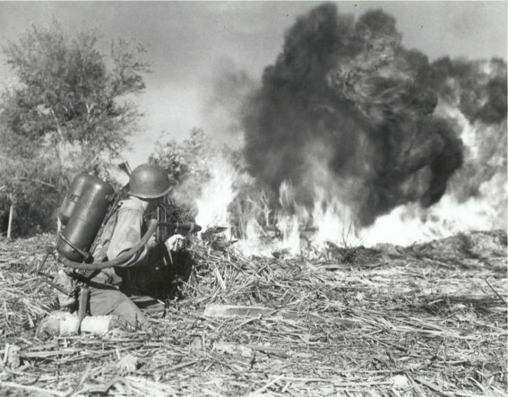 A soldier from the 33rd Infantry Division uses an M2 flame-thrower