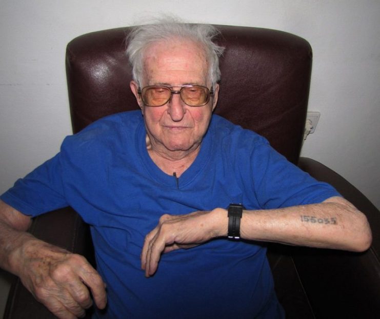 Jerzy Kamieniecki, Auschwitz survivor displays tattoo Photo by Jacek Proszyk CC BY SA 4.0