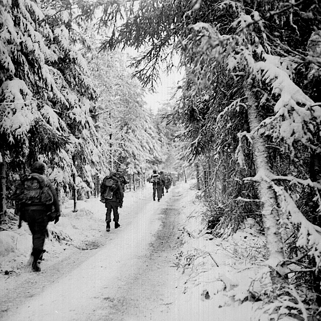 517th Parachute Regimental Combat Team in the Hurtgen Forest