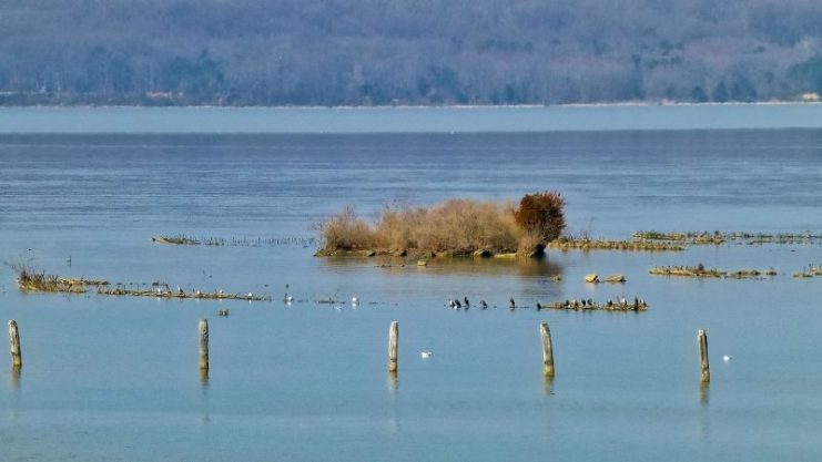 Almost submerged shipwrecks, February 2017 Photo by F Delventha CC BY 2.0