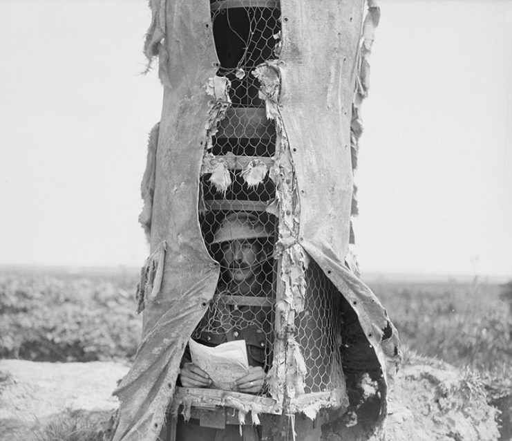 British lookout at his post in a fake tree in Souchez, France (1918). Soldiers would remove shell-damaged trees under cover of darkness and plant fakes to house snipers and lookouts.