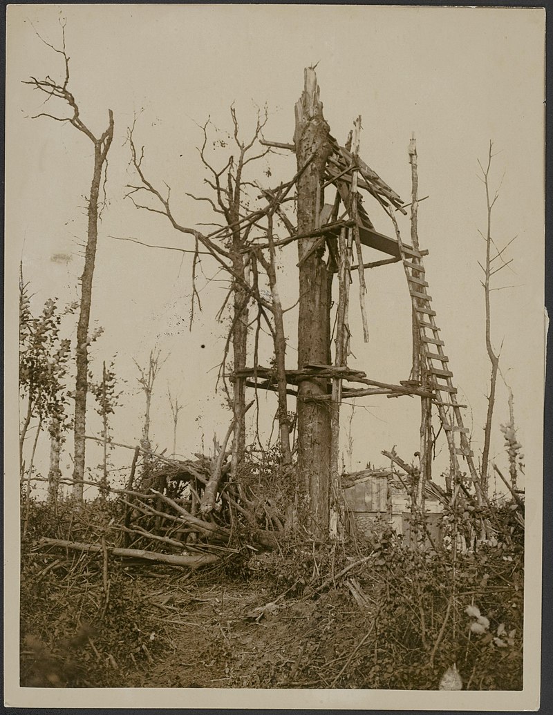 During WWI Fake Trees Were Built To Serve As Observation Posts War